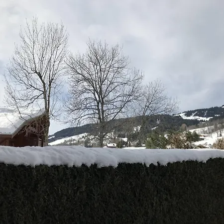 Résidence Edelweiss - Edelweiss B3 Mae-0844 Megève